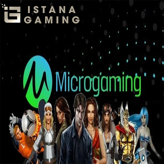 Slot Provider MicroGaming